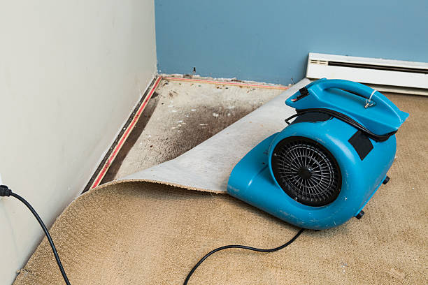 Best Local water damage restoration  in Oakdale, LA